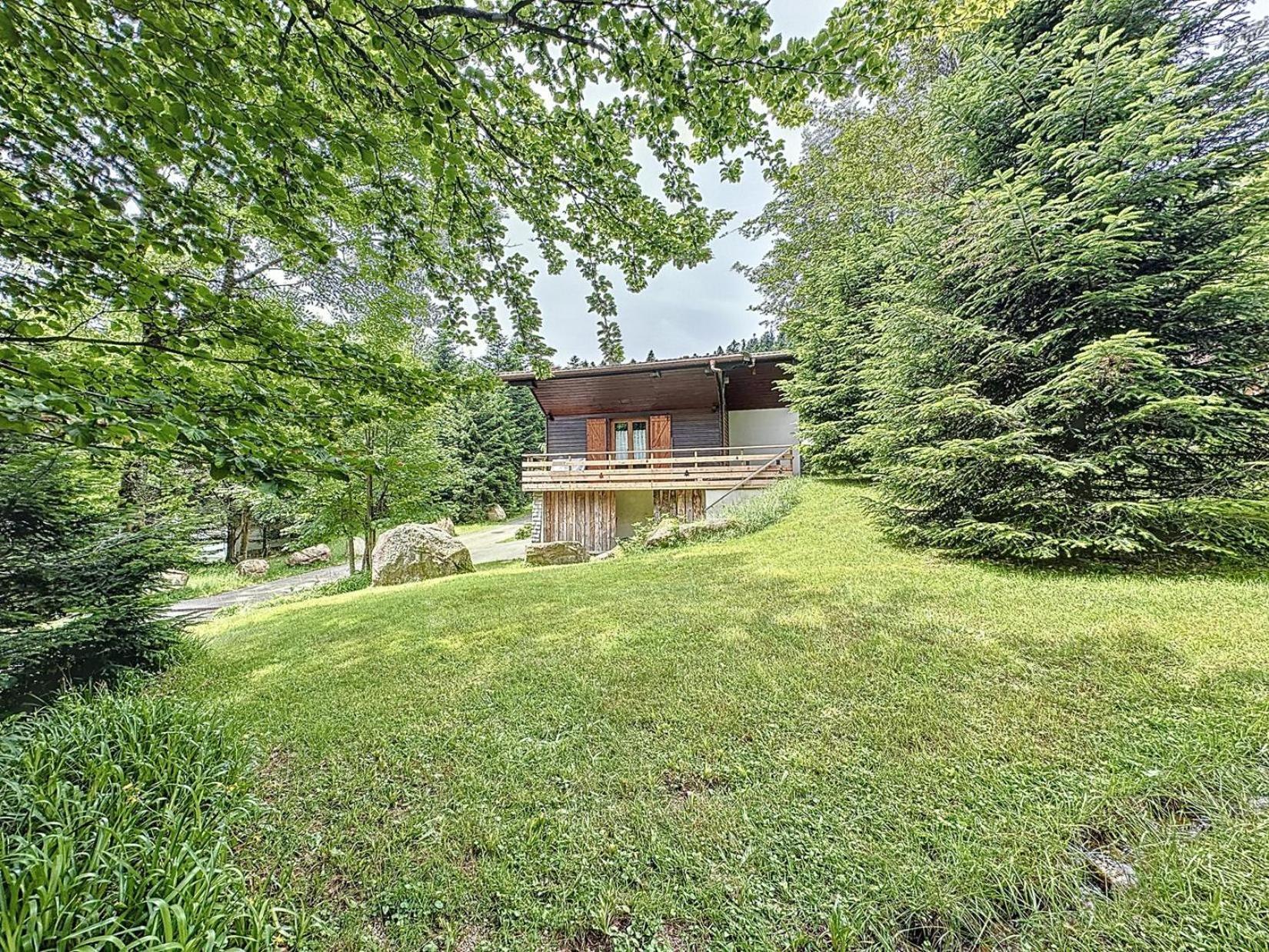 Le Chalet Des Belles Roches, La Bresse Hohneck别墅 外观 照片